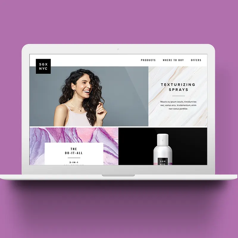 SGX website