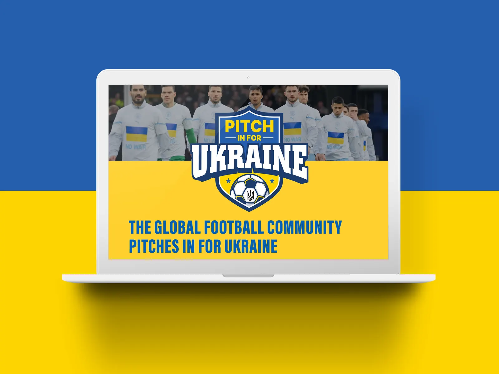 Ukraine project